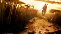 Games Far Cry 2 cartridges 012619 .jpg